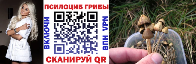 Купить где  Усолье  Галлюциногенные грибы прущие грибы 